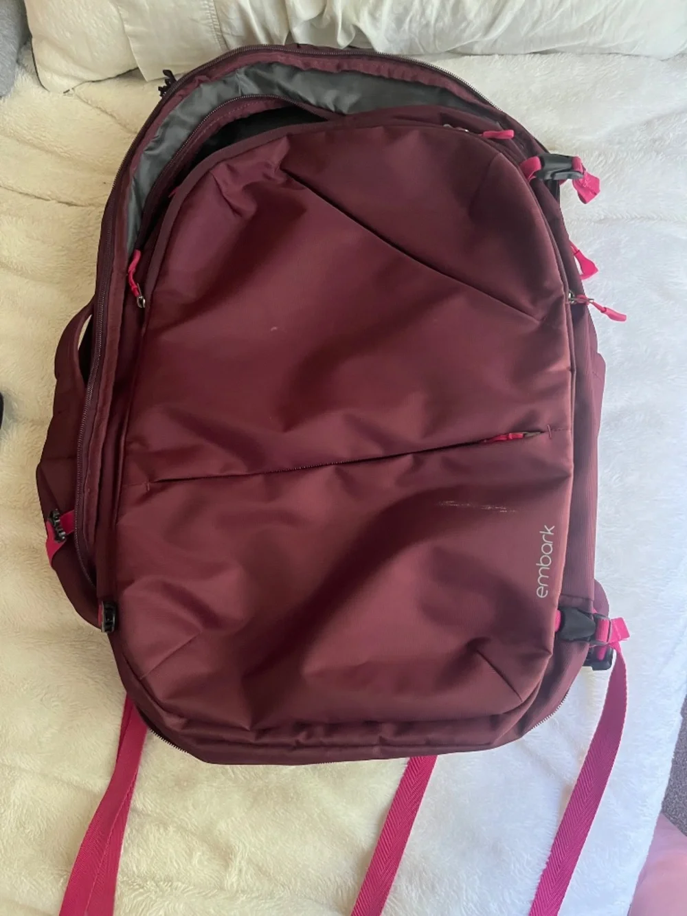 Embark pacious backpack